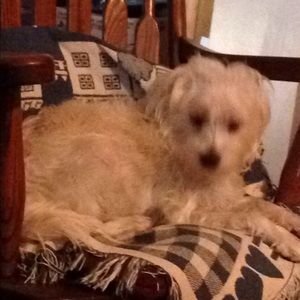 Meet your Posher, Wendy